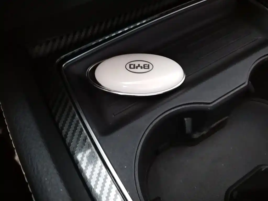 BYD MAX 2019 — фото 9