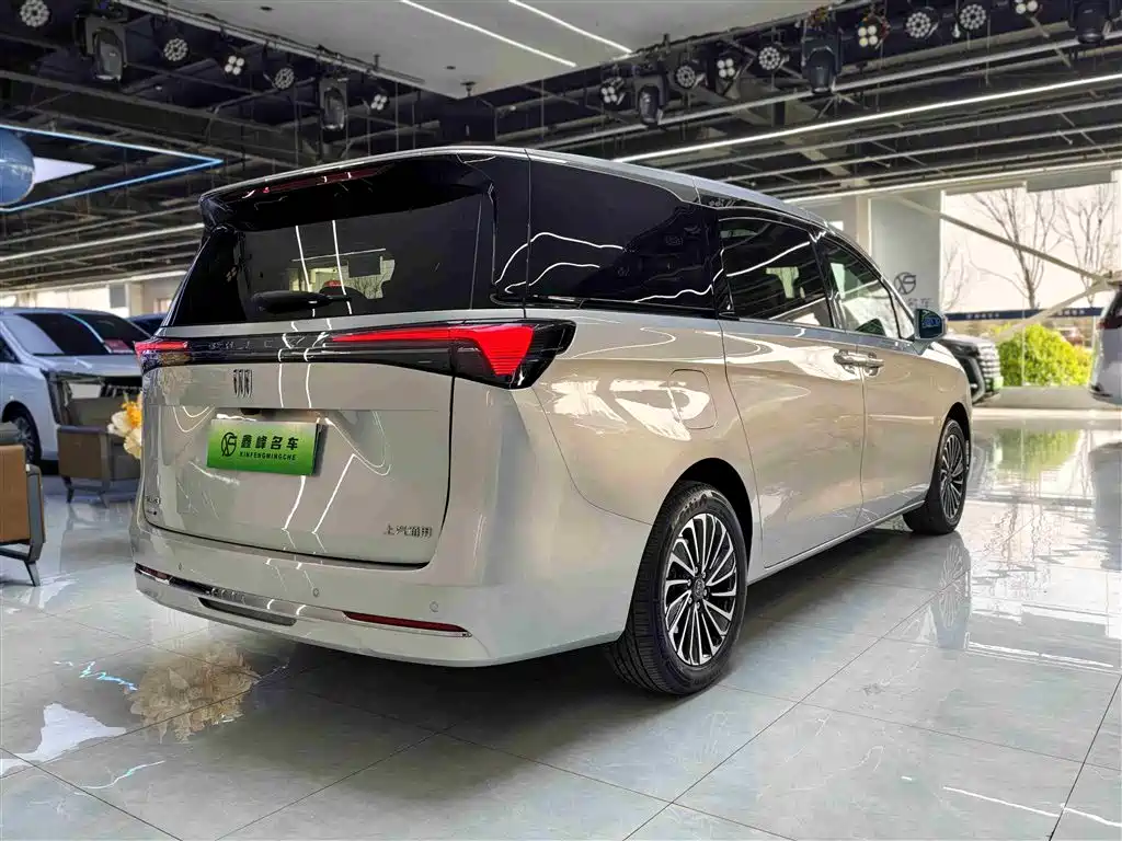 Buick GL8 Hybrid 2025 — фото 18