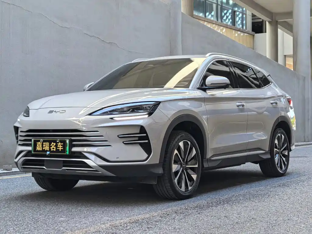 BYD Song PLUS New Energy 2024 — фото 1