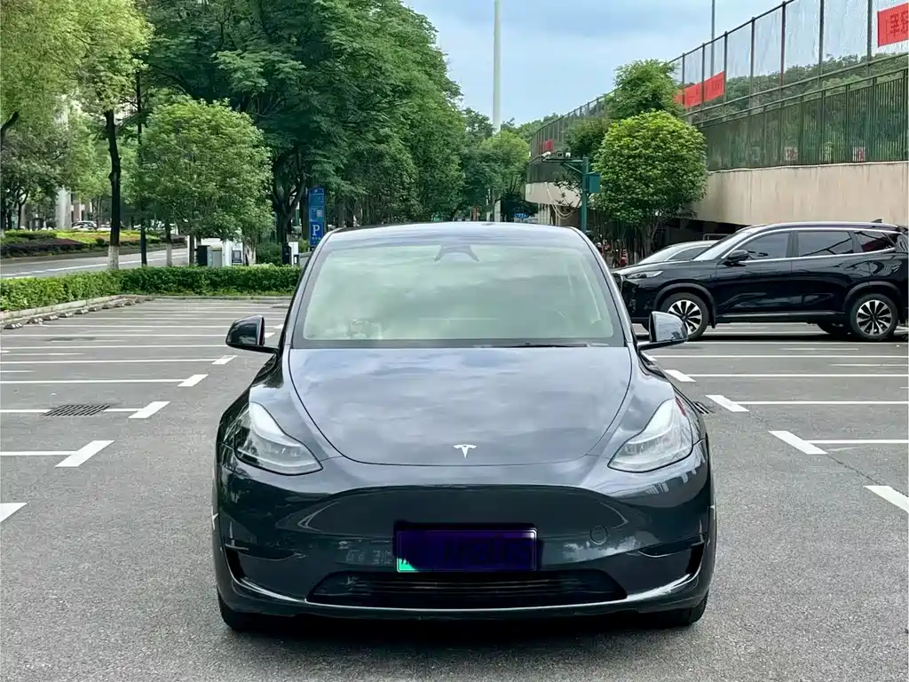 Tesla Model Y 2024 — фото 2