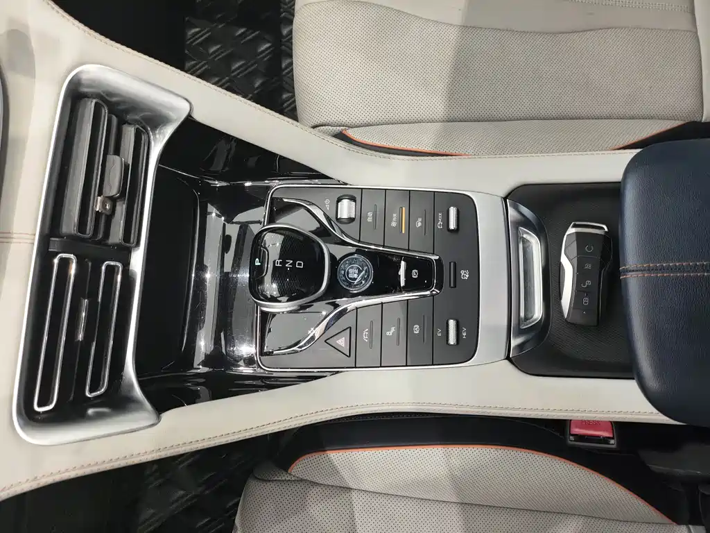 BYD Song PLUS New Energy 2023 — фото 14