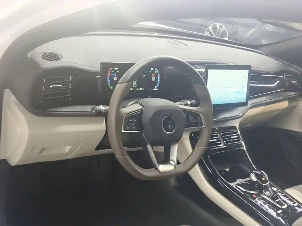 BYD Qin PLUS 2024 — фото 10