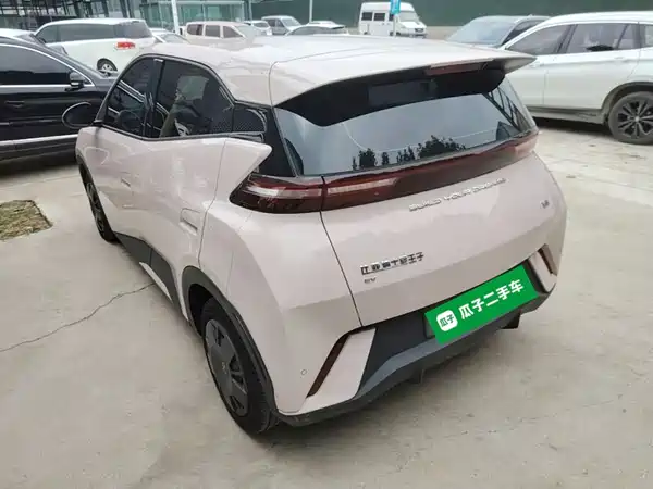 BYD Seagull 2024