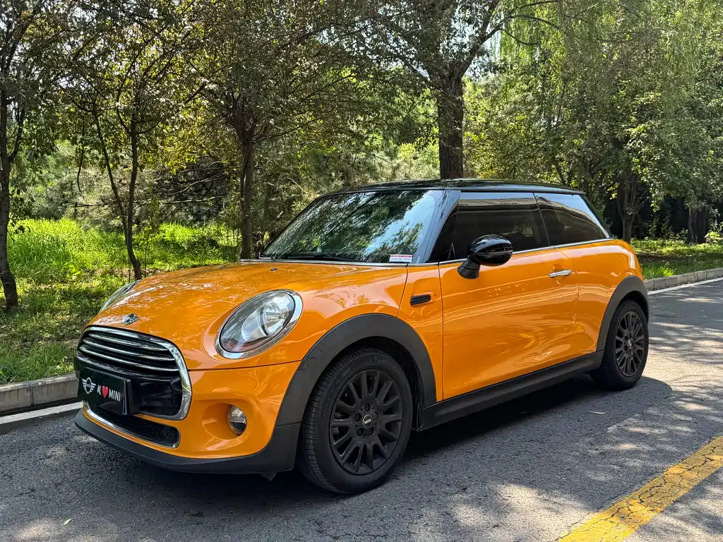 MINI MINI 2018