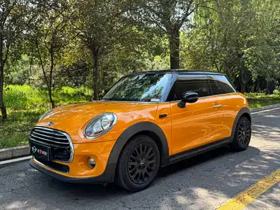 MINI MINI 2018