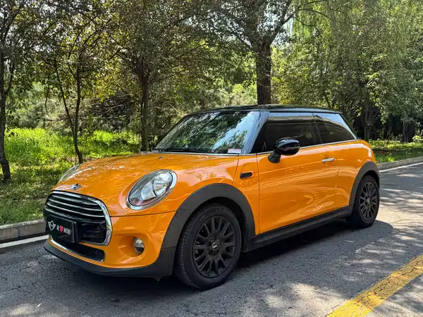 MINI 2018