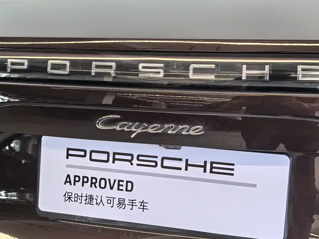 Porsche Cayenne 2022 — фото 20