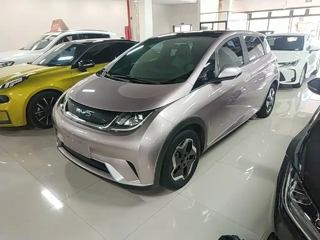 BYD Dolphin 2022
