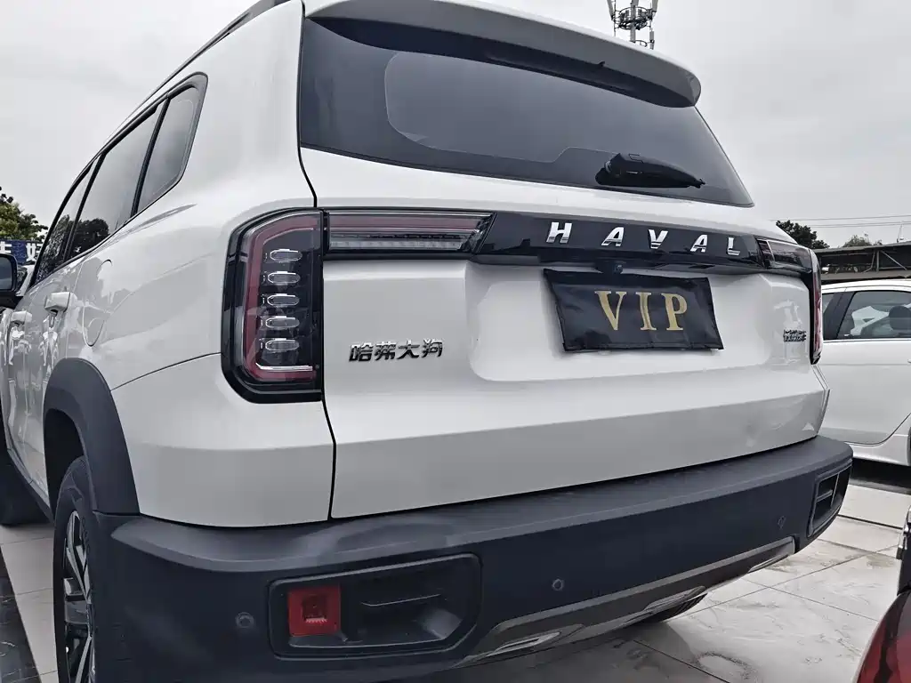 Haval Big Dog 2021 — фото 14