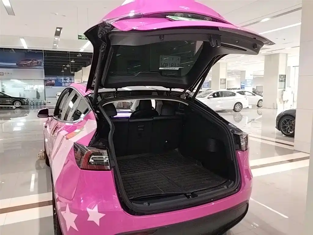 Tesla Model Y 2021 — фото 19