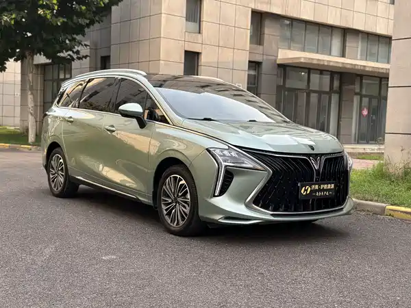 Dongfeng Popular Yacht 2024