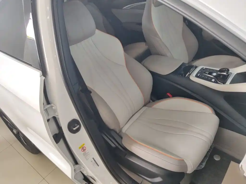 BYD Song Pro New Energy 2025 — фото 25