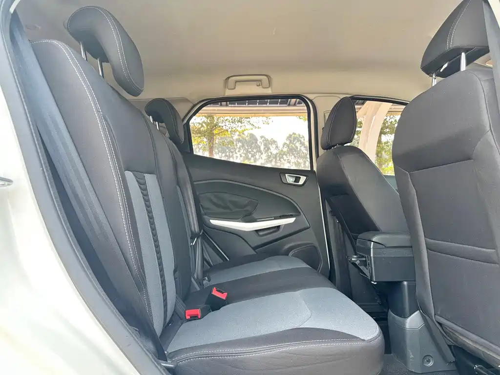 Ford EcoSport 2015 — фото 13
