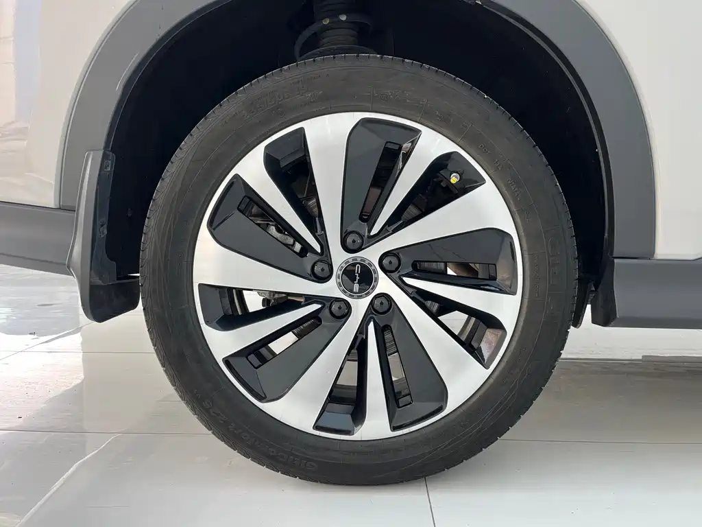 BYD PLUS New Energy 2024 — фото 4