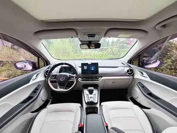 BYD Yuan Pro 2022