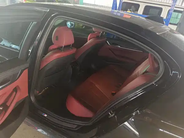 BMW 5 Series New Energy 2021