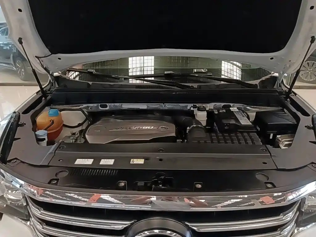 GAC Trumpchi GS8 2019 — фото 20