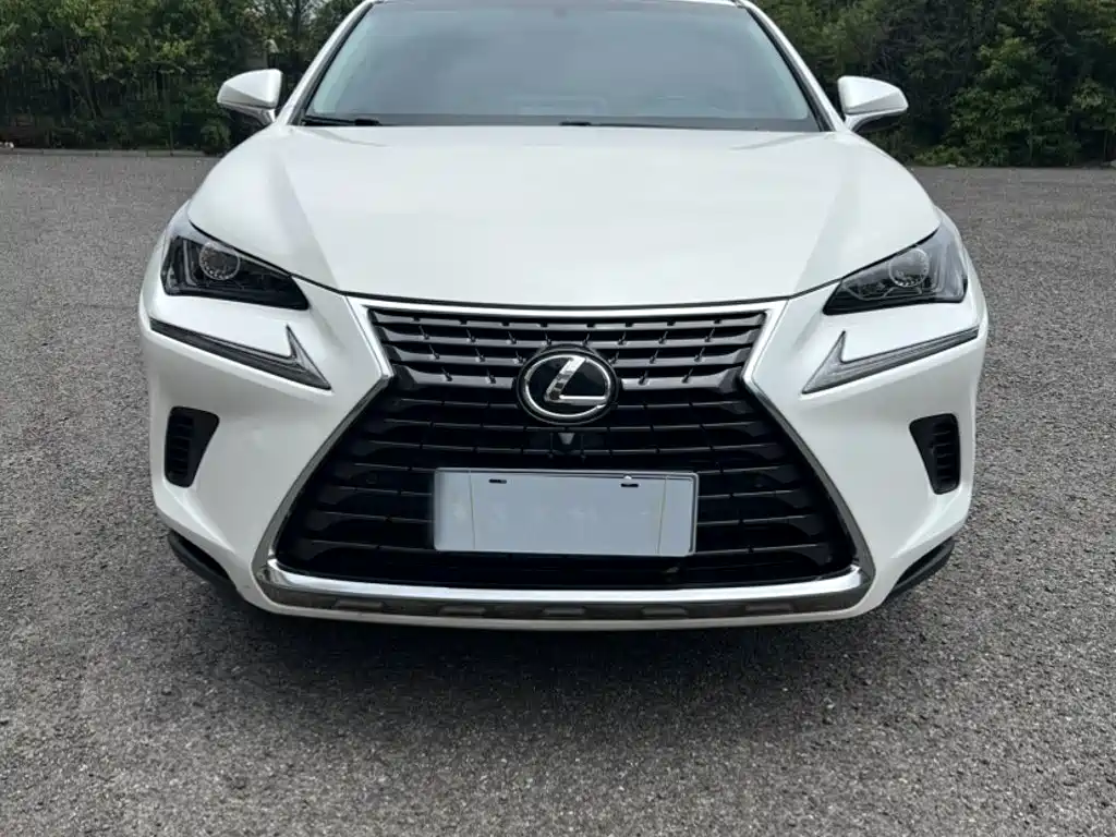Lexus NX 2018 — фото 7