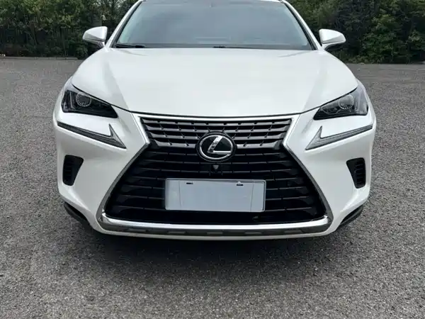 Lexus NX 2018