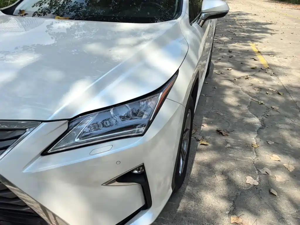 Lexus RX 2019 — фото 24