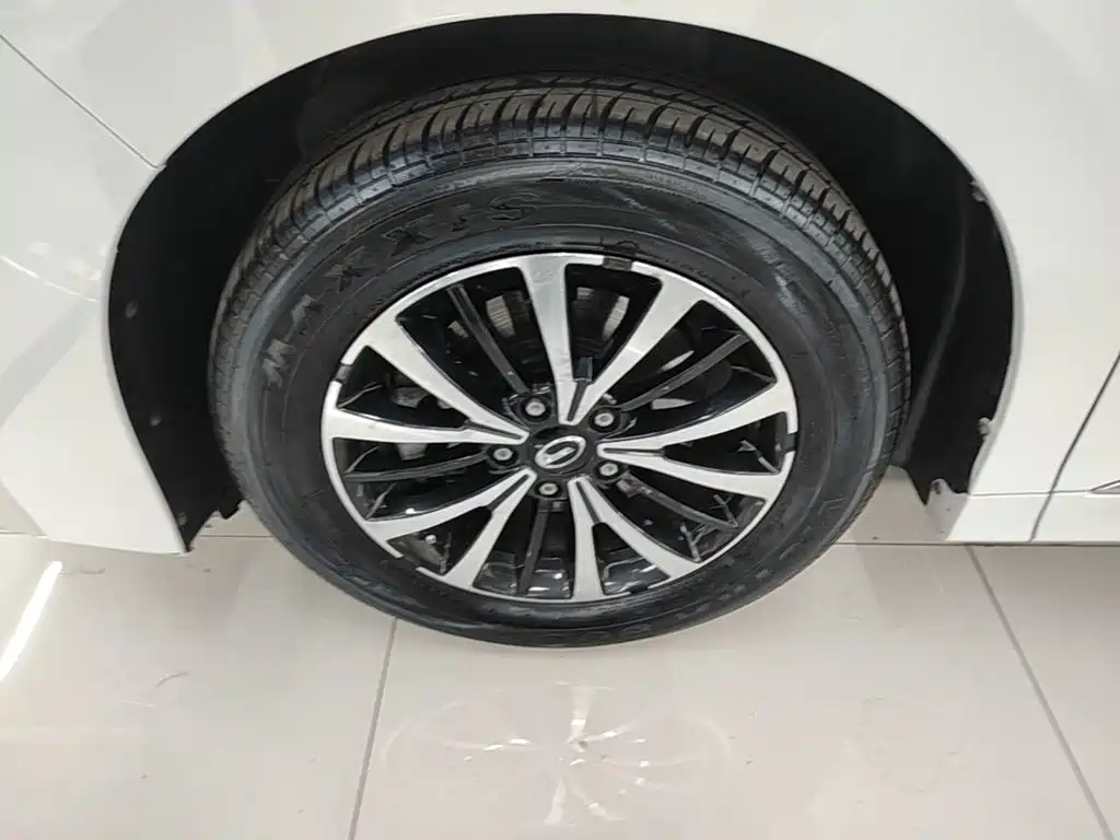 GAC Trumpchi M8 2022 — фото 23