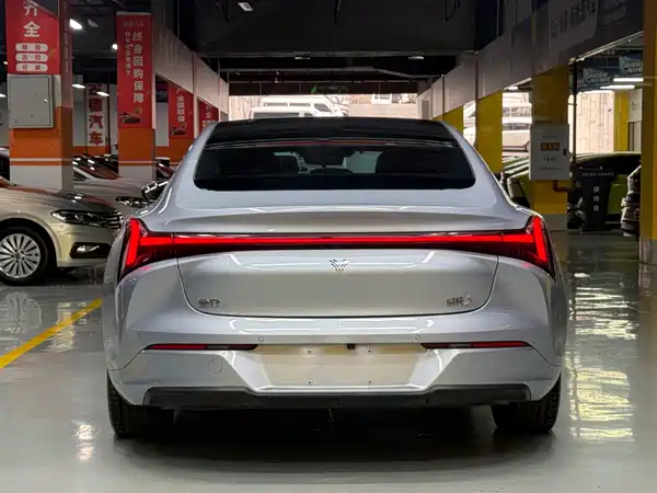 Neta S 2024
