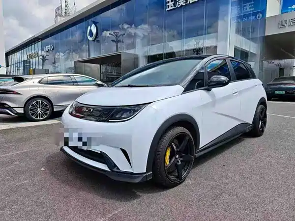 BYD Dolphin 2024
