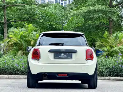 MINI MINI 2019