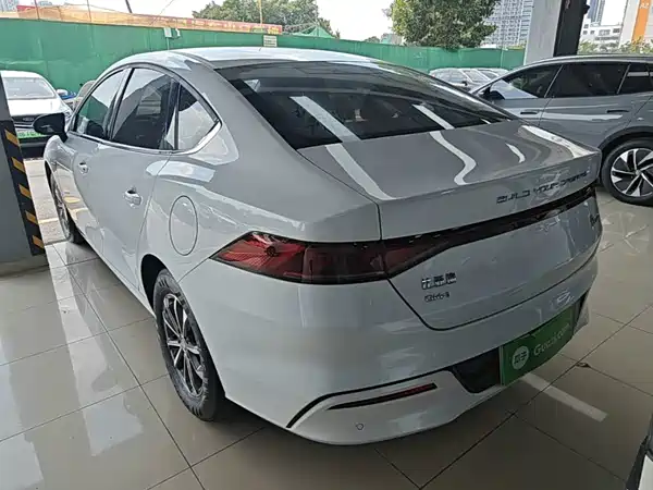 BYD Qin PLUS 2024