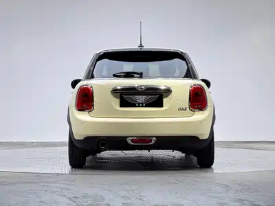 MINI MINI 2015