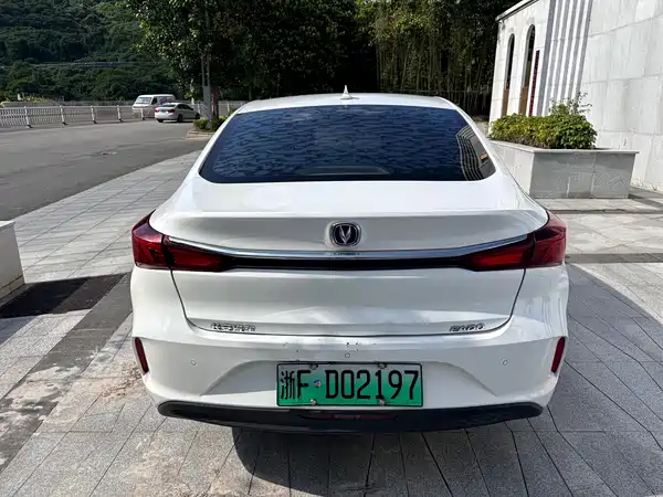 Changan Yidong New Energy 2023