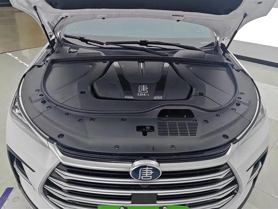 BYD Tang New Energy 2023 — фото 10