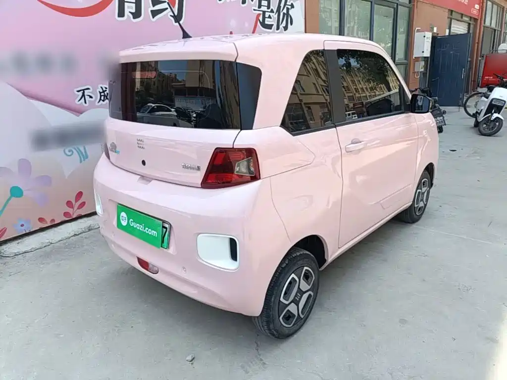 Fengguang MINIEV 2024