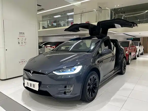 Tesla Model X 2019