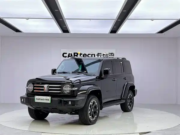 Tank 300 New Energy 2025