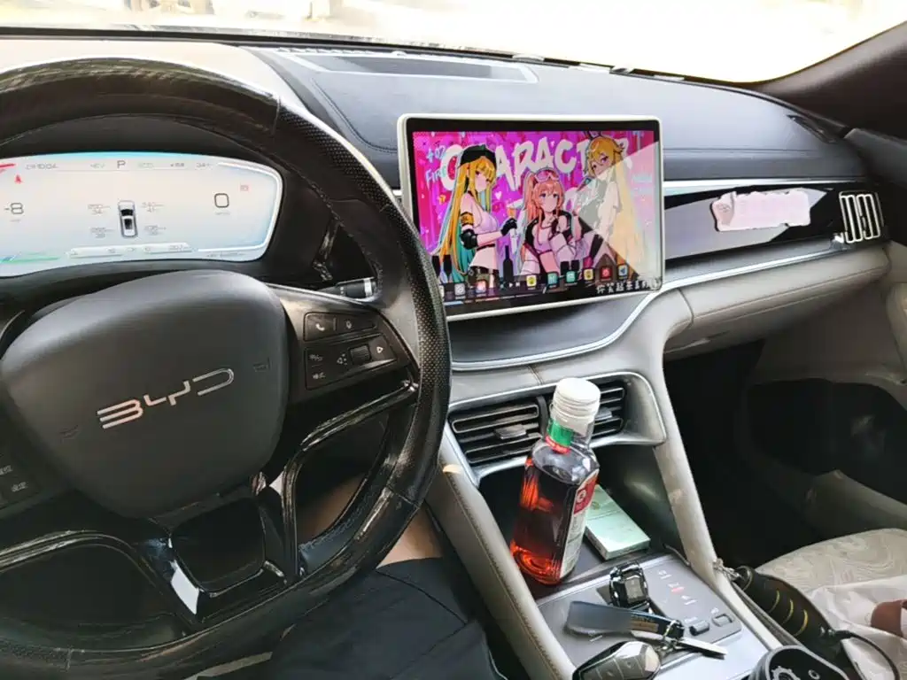 BYD Song PLUS New Energy 2024 — фото 10