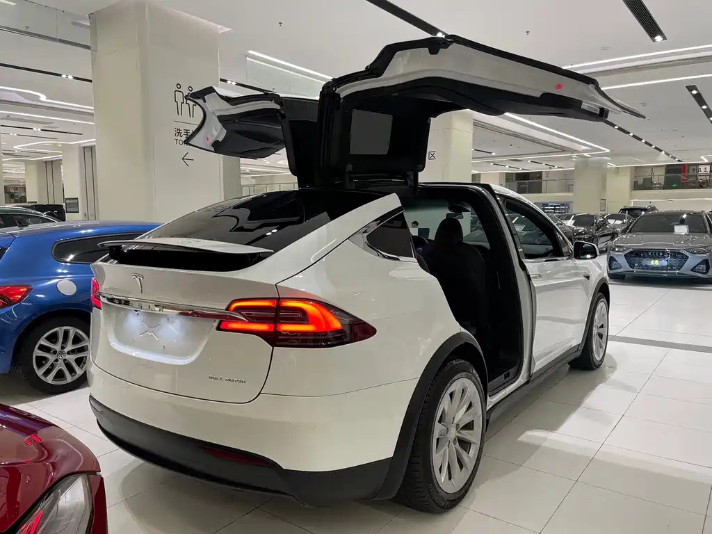 Tesla Model X 2020 — фото 3