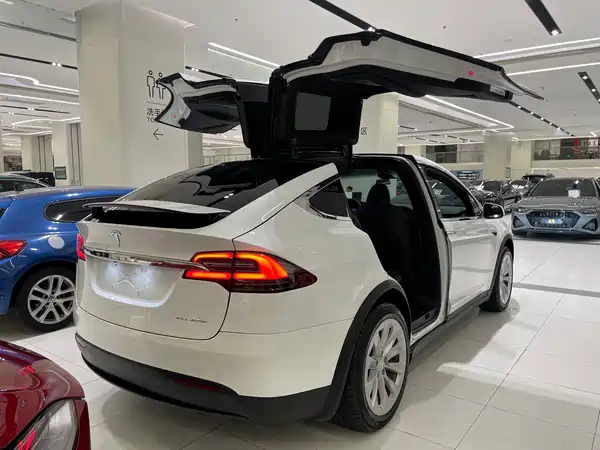 Tesla Model X 2020