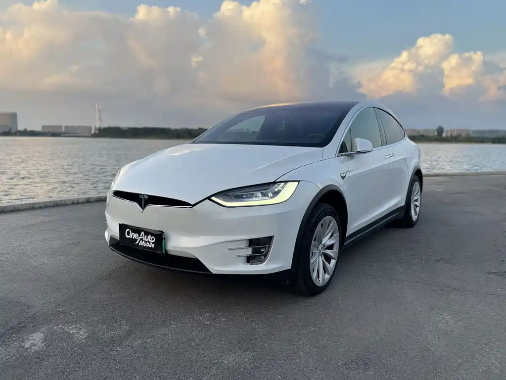 Tesla Model X 2020 — фото 8