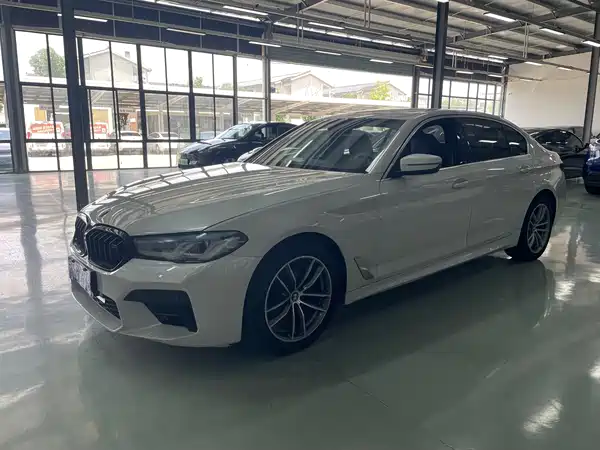 BMW 5 Series 2020