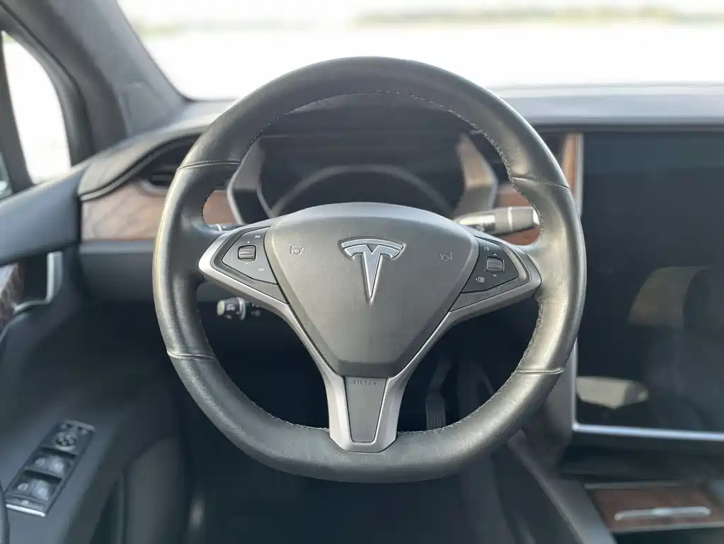 Tesla Model X 2020 — фото 10