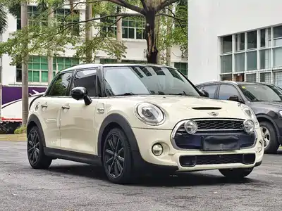 MINI MINI 2015