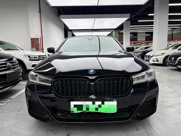 BMW 5 Series New Energy 2022