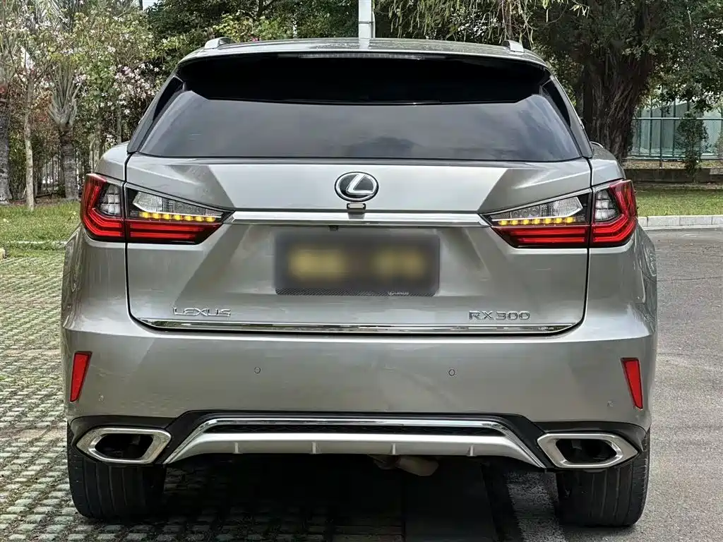Lexus RX 2017 — фото 14