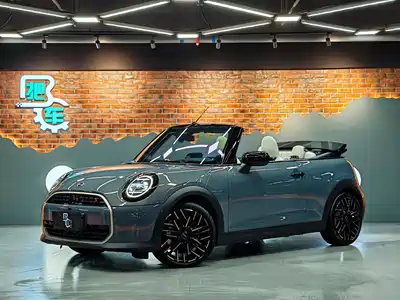 MINI MINI 2025