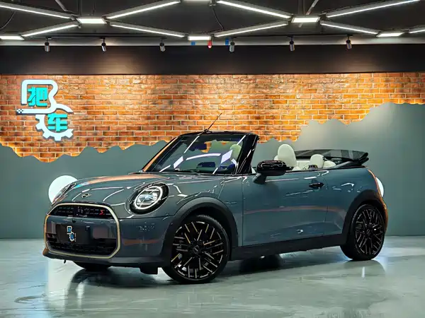 MINI MINI 2025