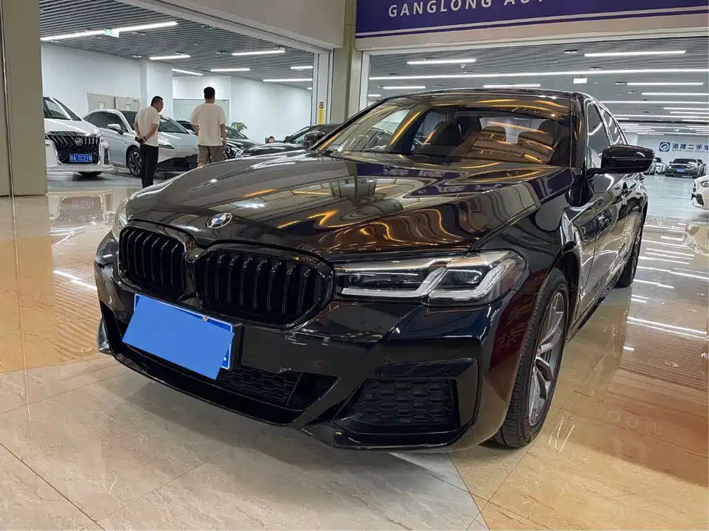 BMW 5 Series 2021