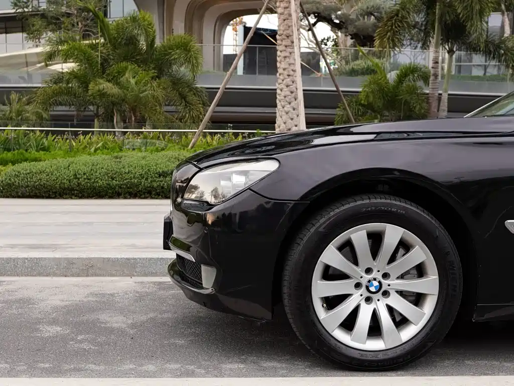 BMW 7 Series 2009 — фото 18