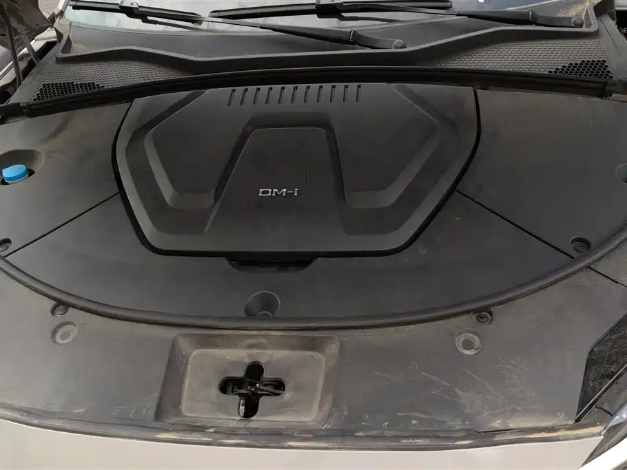 BYD PLUS New Energy 2023 — фото 10