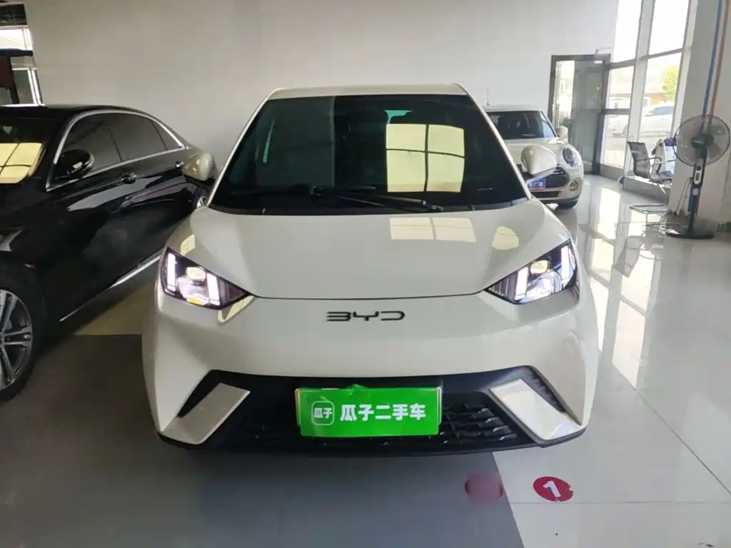 BYD Seagull 2024